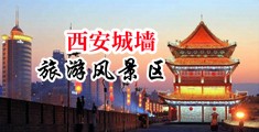 xxxx69大鸡巴巴中国陕西-西安城墙旅游风景区